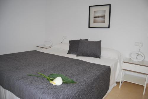 Alborada Apartment