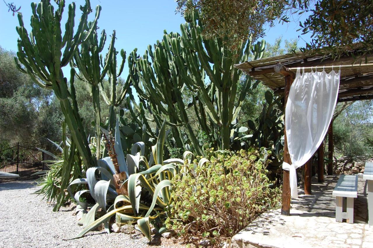 Duvai Mallorca