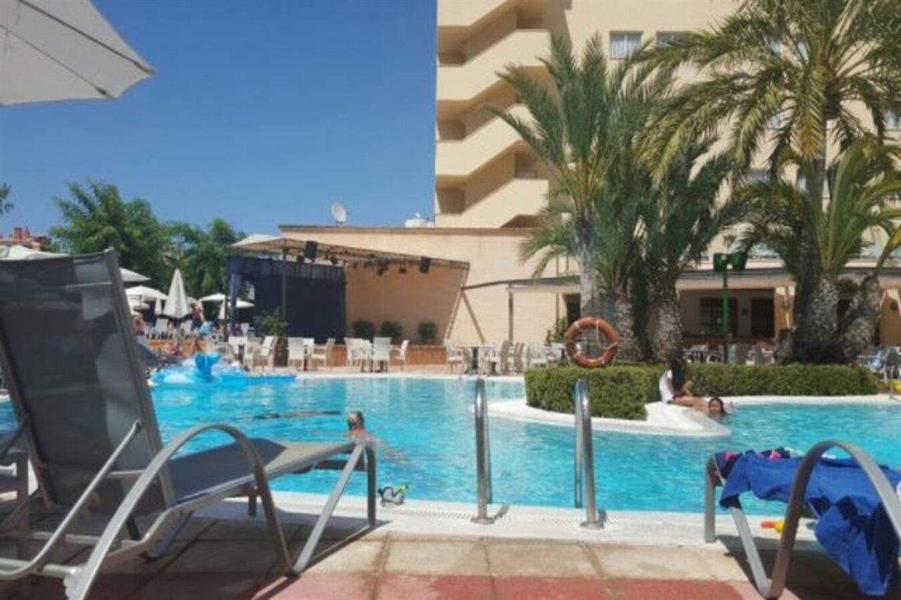Girasol Cala Millor (Mallorca)