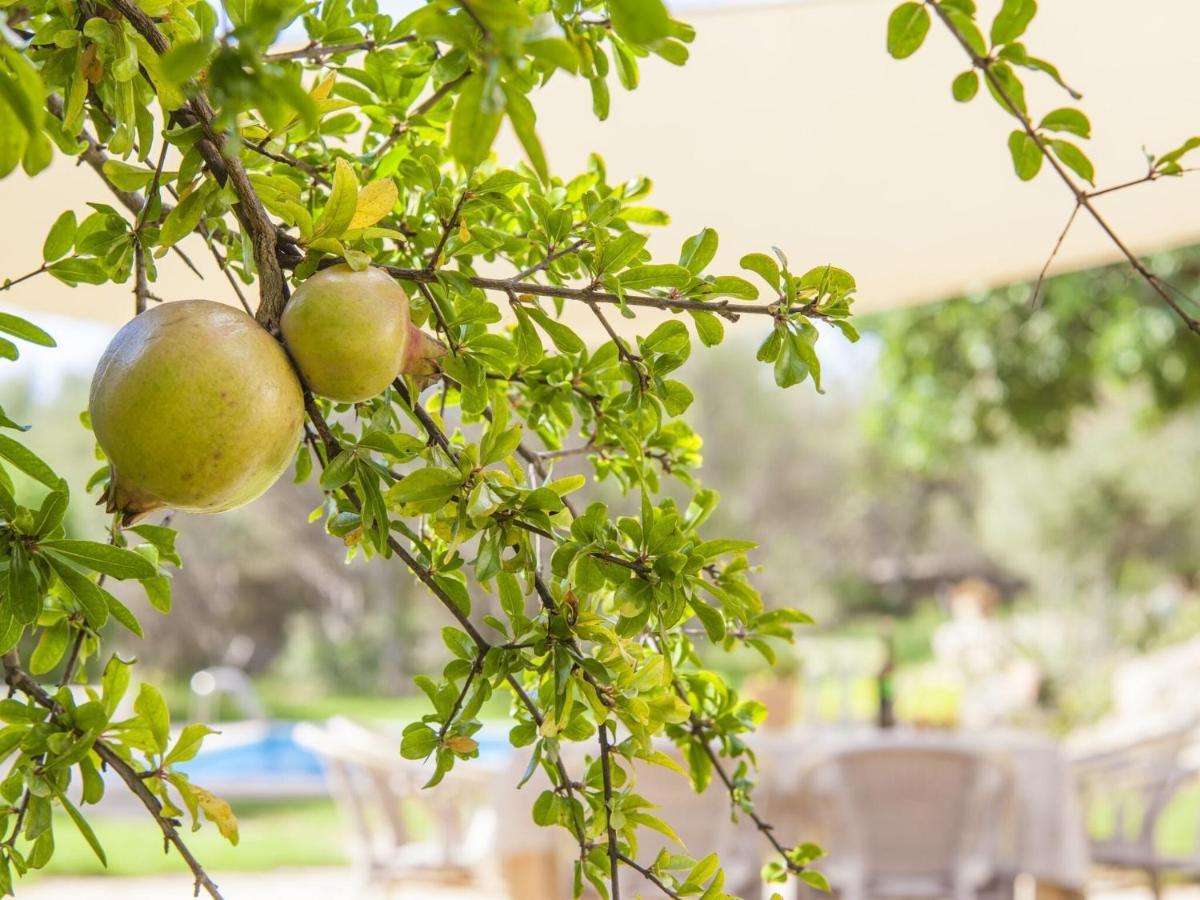 Holiday home Es Garrover - With Private Pool In Cala Millor Free Wifi *
