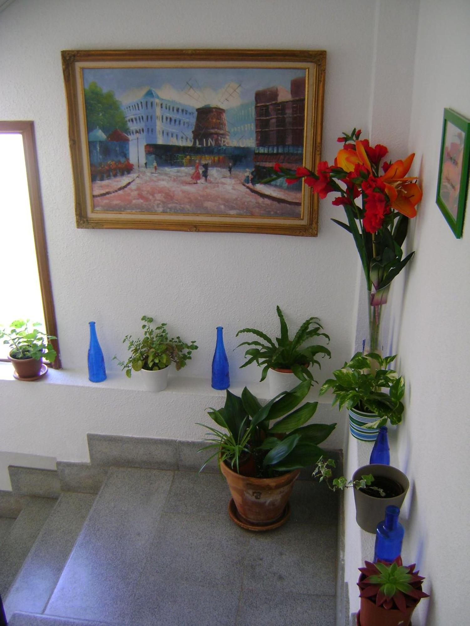 Guest house Saturno