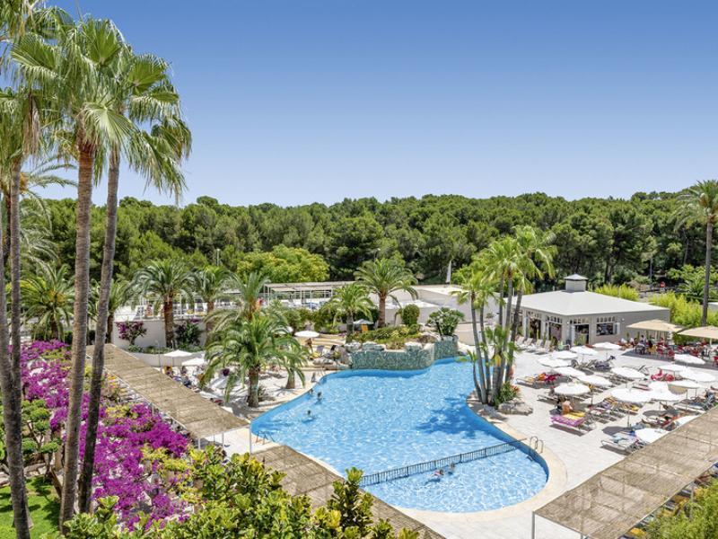 Rosella 4*