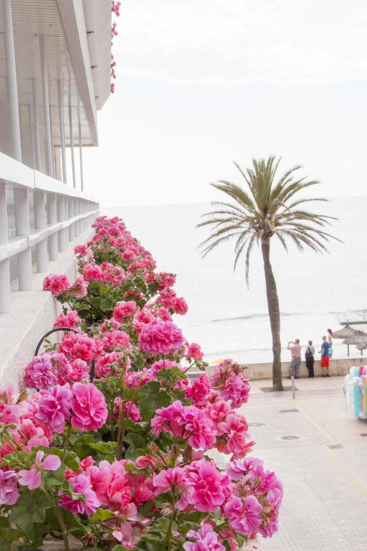 Voramar Cala Millor (Mallorca)